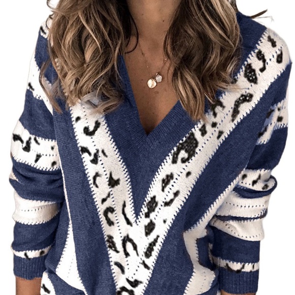 🔥🔥Blue Animal Print Accent V Neck Sweater - Picture 3 of 3